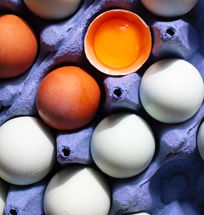 Happy Egg Co